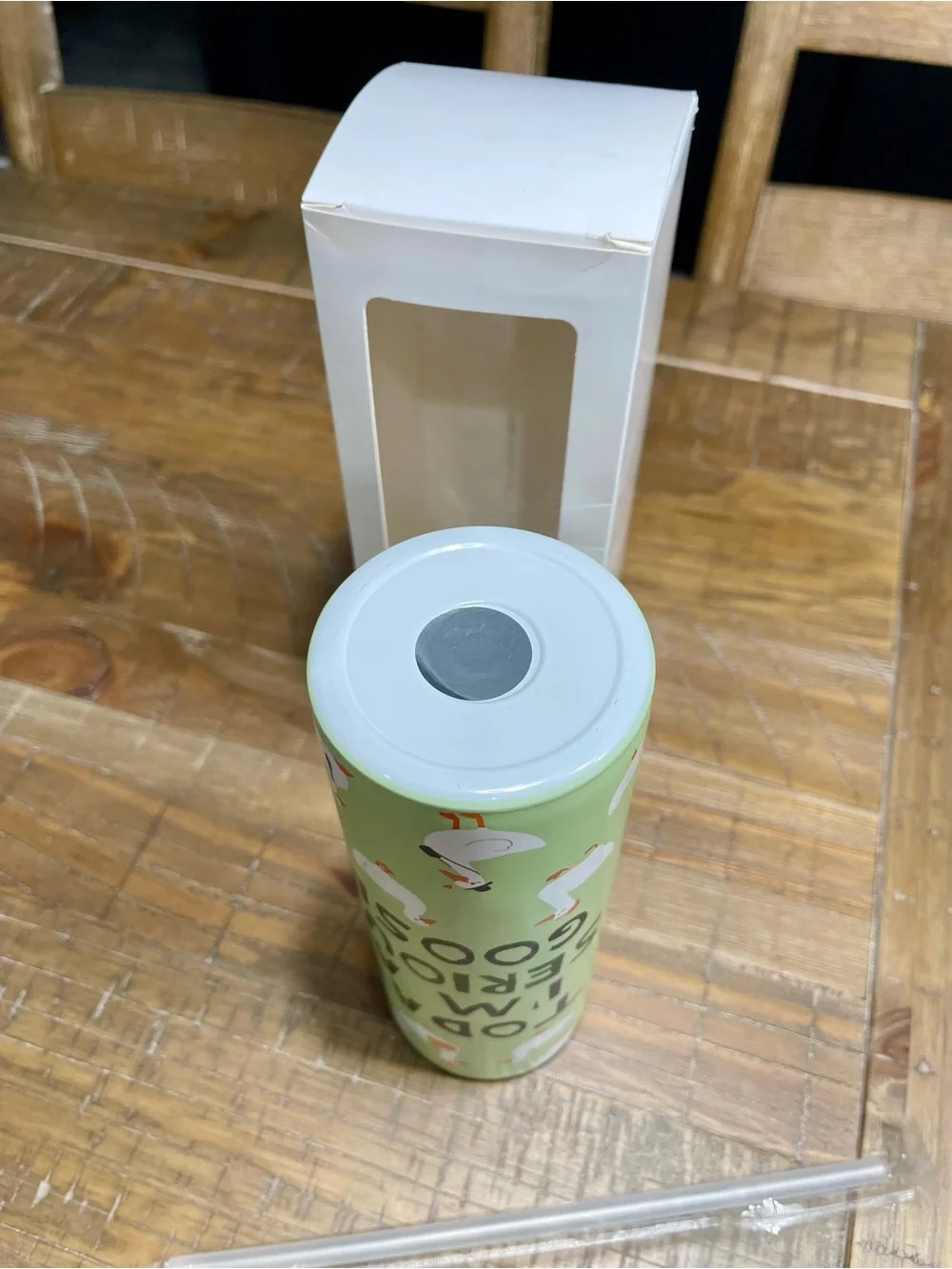 Today I'm A Serious Goose - 20oz Tumbler
